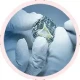 TAVR expertise