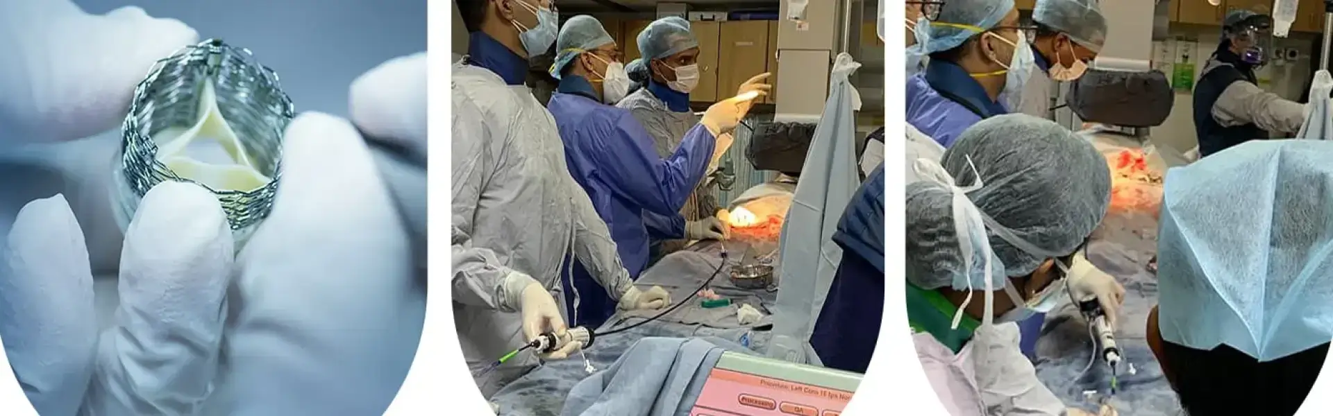 Heart Specialist